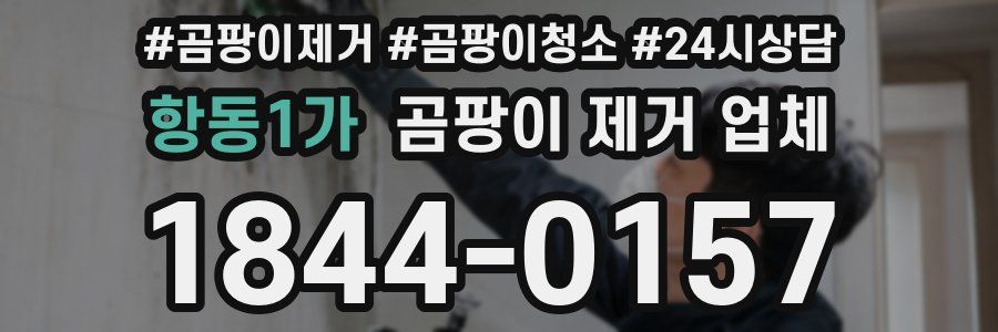 항동1가 곰팡이 제거 업체