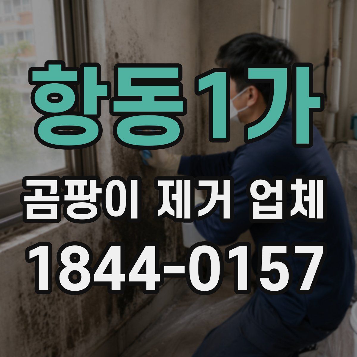 항동1가 곰팡이 제거 업체