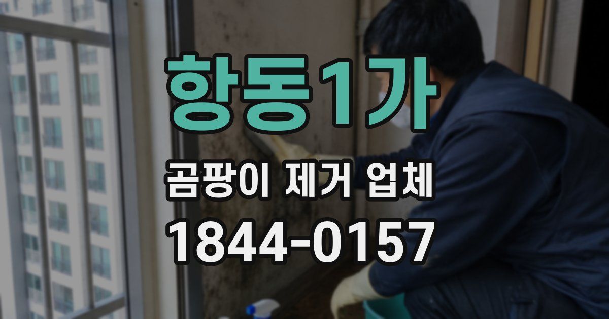 항동1가 곰팡이 제거 업체