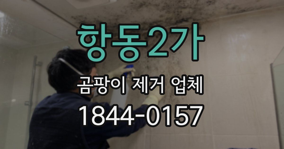 항동2가 곰팡이 제거 업체