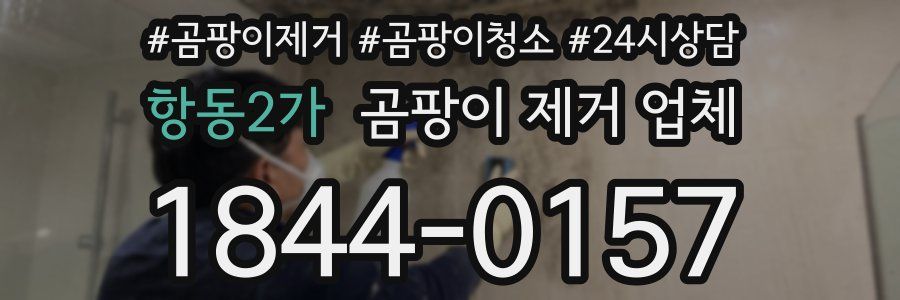 항동2가 곰팡이 제거 업체