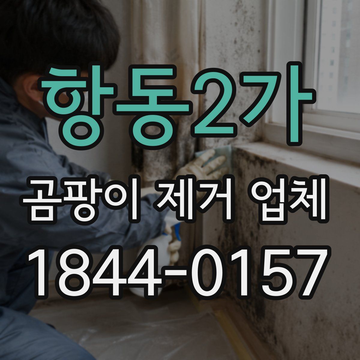 항동2가 곰팡이 제거 업체