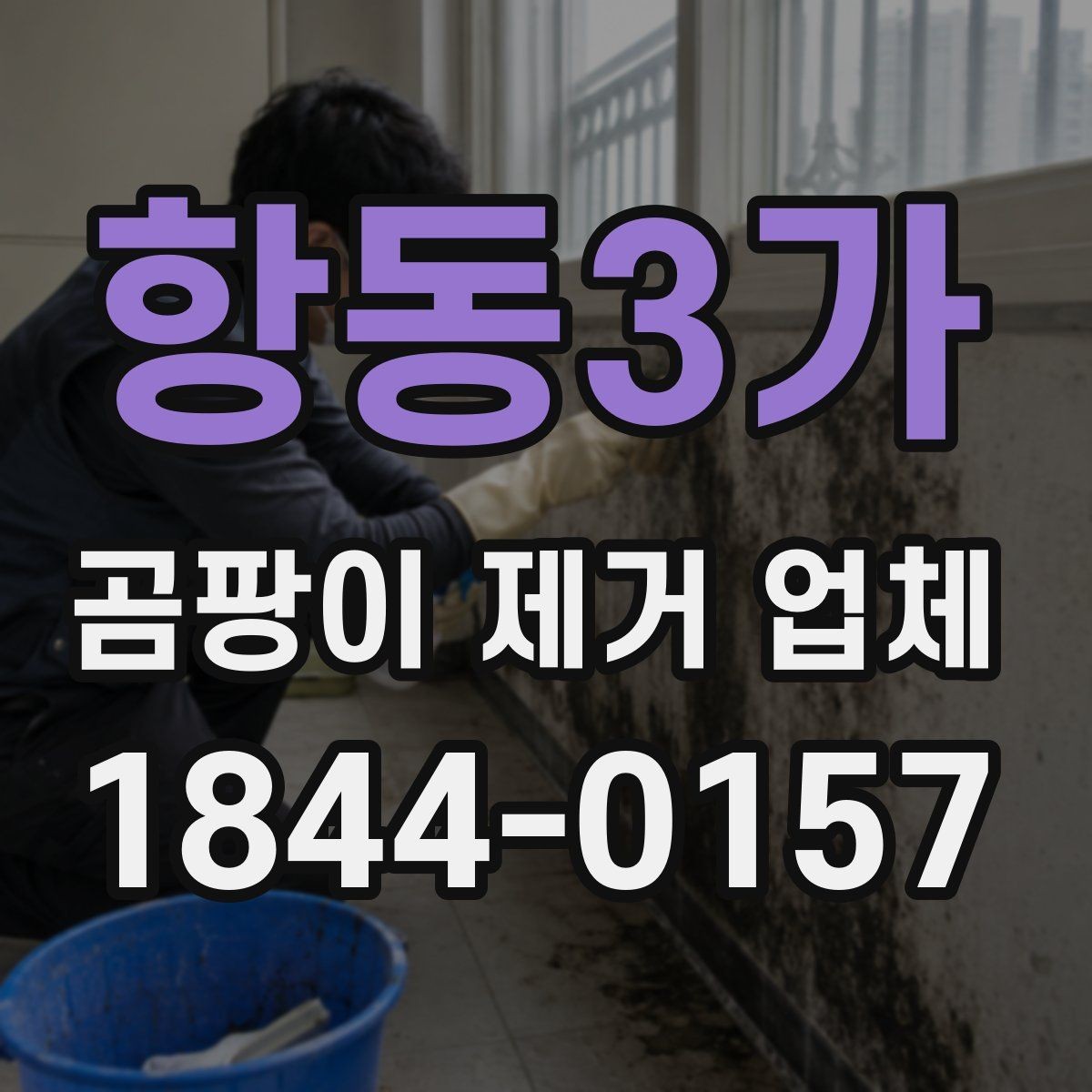 항동3가 곰팡이 제거 업체 결로가 잦은 벽면의 내부 상태 확인법