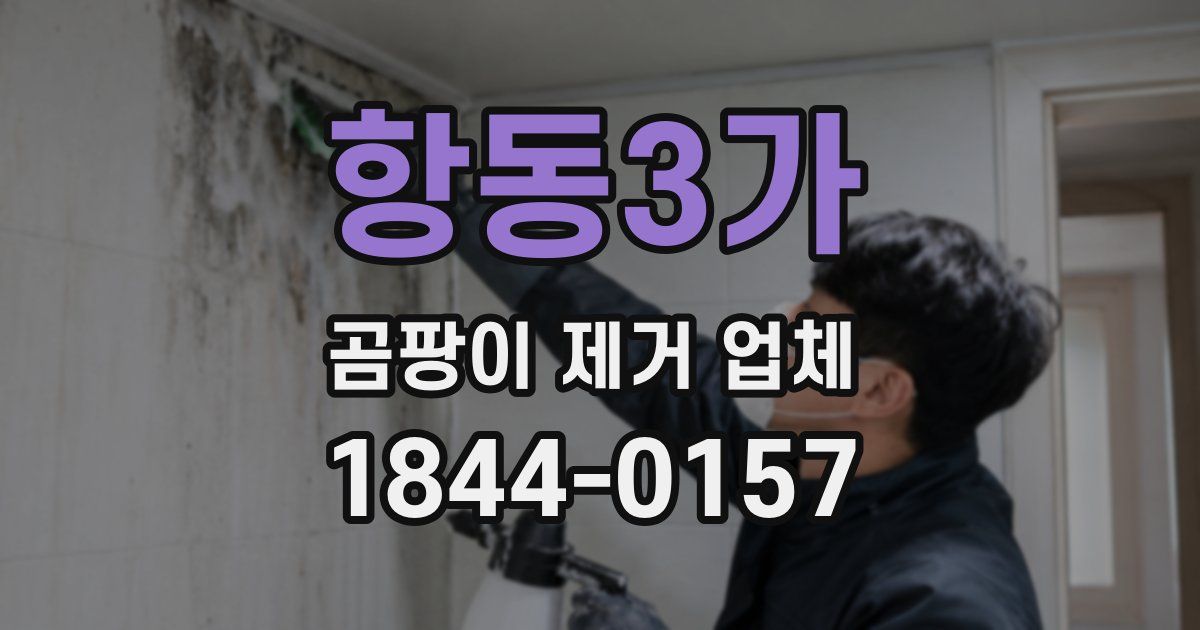 항동3가 곰팡이 제거 업체