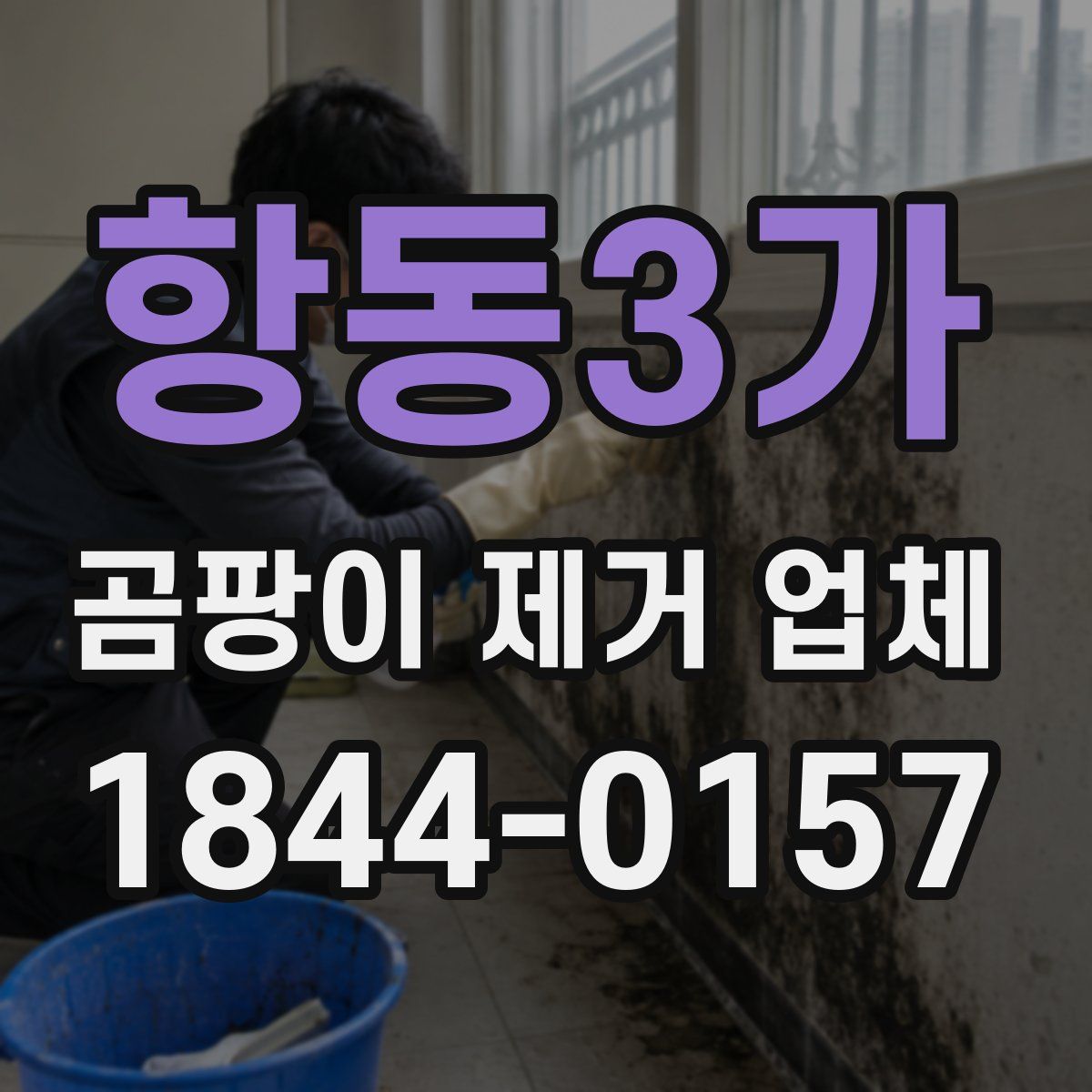 항동3가 곰팡이 제거 업체