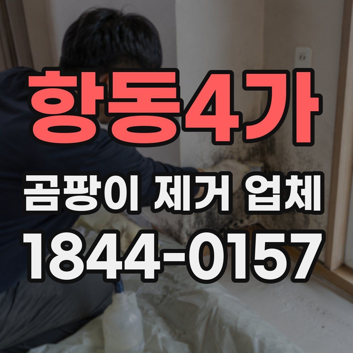 항동4가 곰팡이 제거 업체 사진 진단으로 확인하는 벽면과 천장 상태