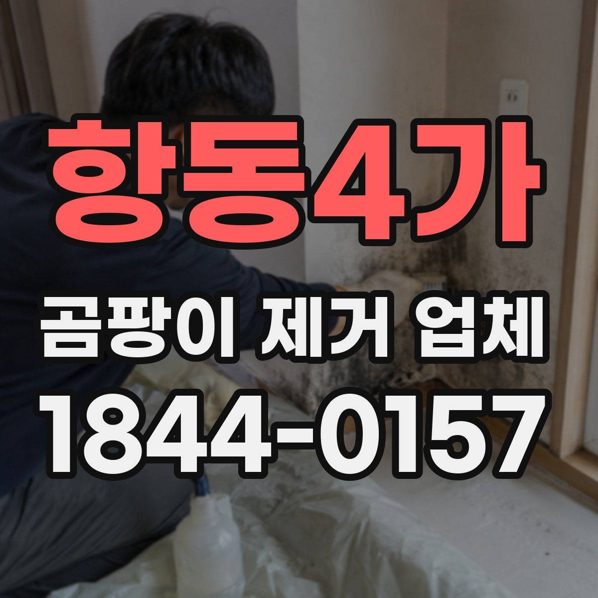 항동4가 곰팡이 제거 업체