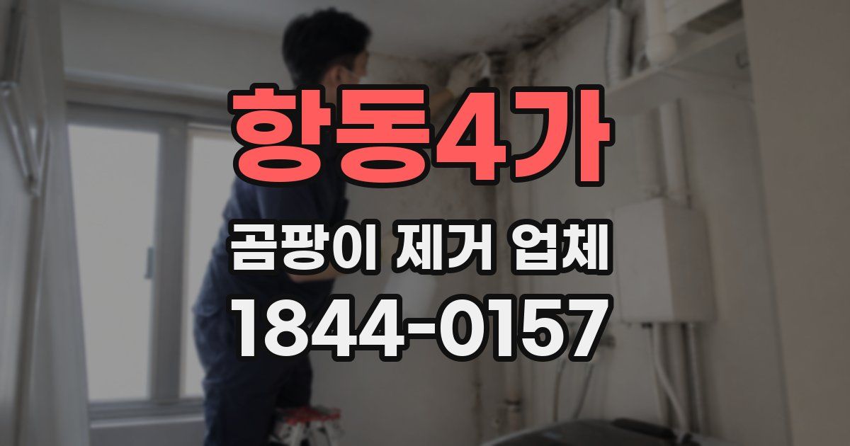 항동4가 곰팡이 제거 업체