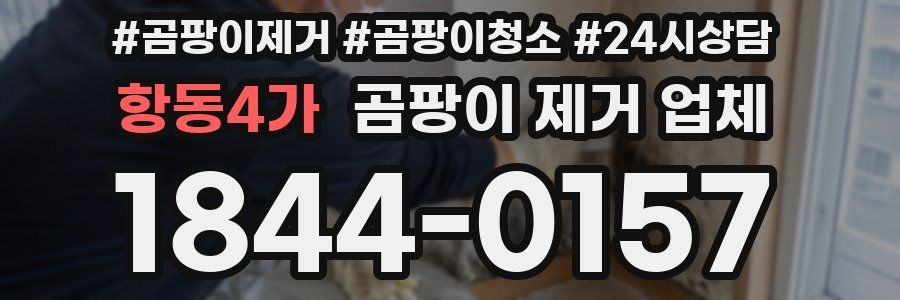항동4가 곰팡이 제거 업체