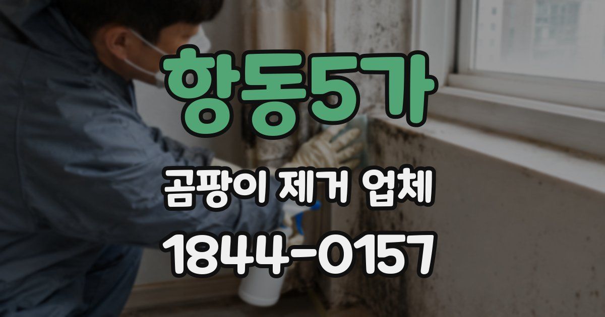 항동5가 곰팡이 제거 업체