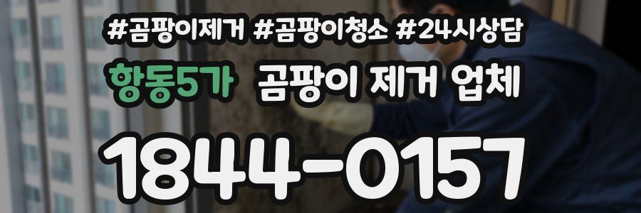 항동5가 곰팡이 제거 업체