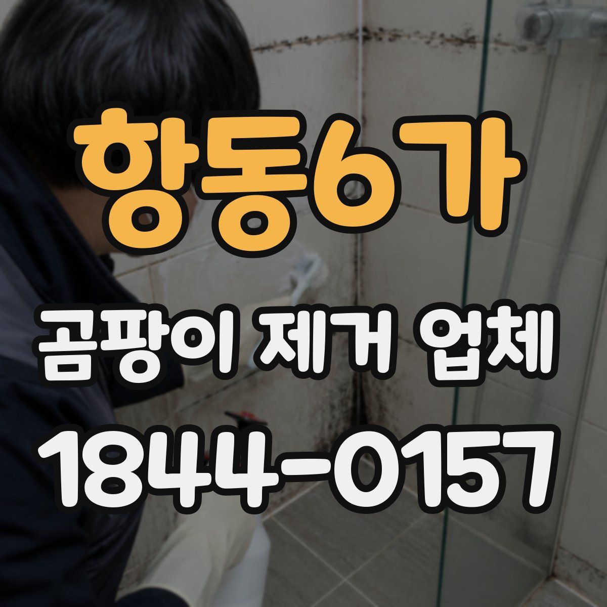 항동6가 곰팡이 제거 업체