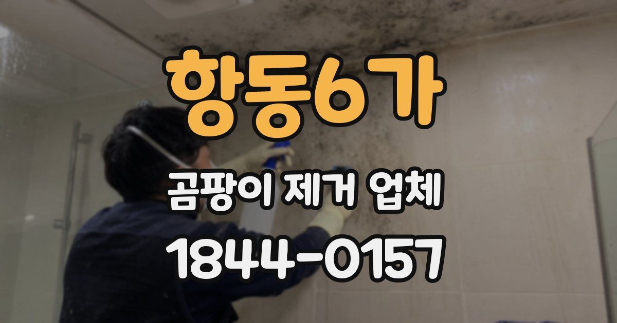 항동6가 곰팡이 제거 업체