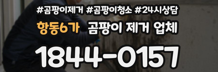 항동6가 곰팡이 제거 업체