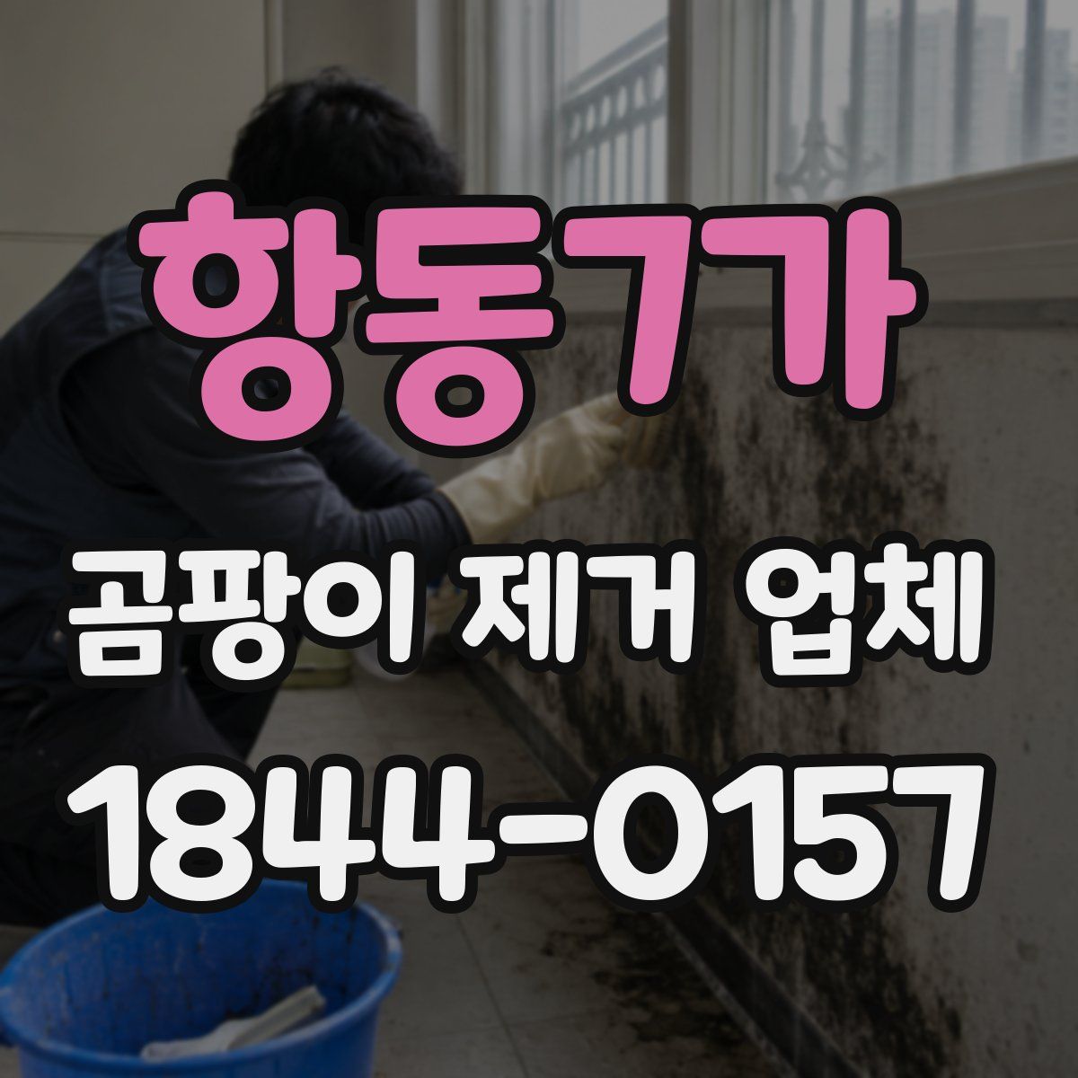 항동7가 곰팡이 제거 업체
