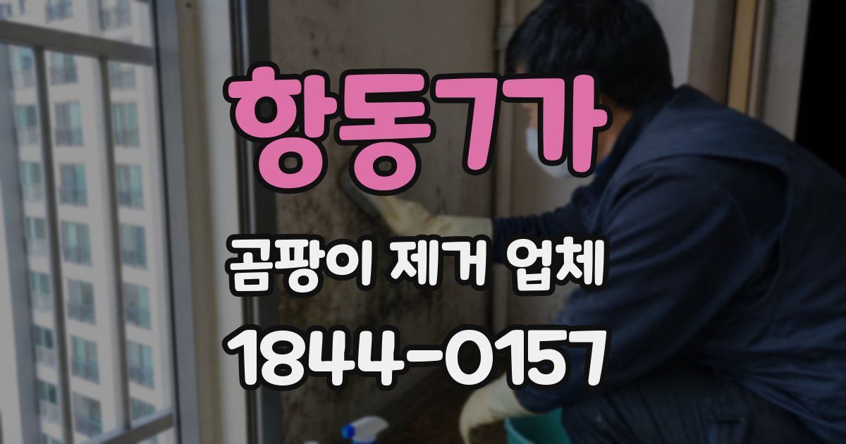 항동7가 곰팡이 제거 업체