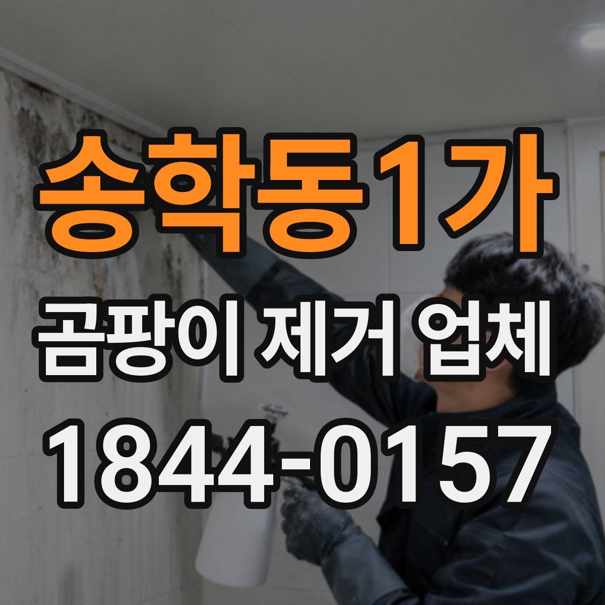 송학동1가 곰팡이 제거 업체