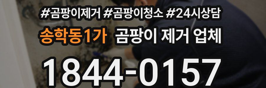 송학동1가 곰팡이 제거 업체