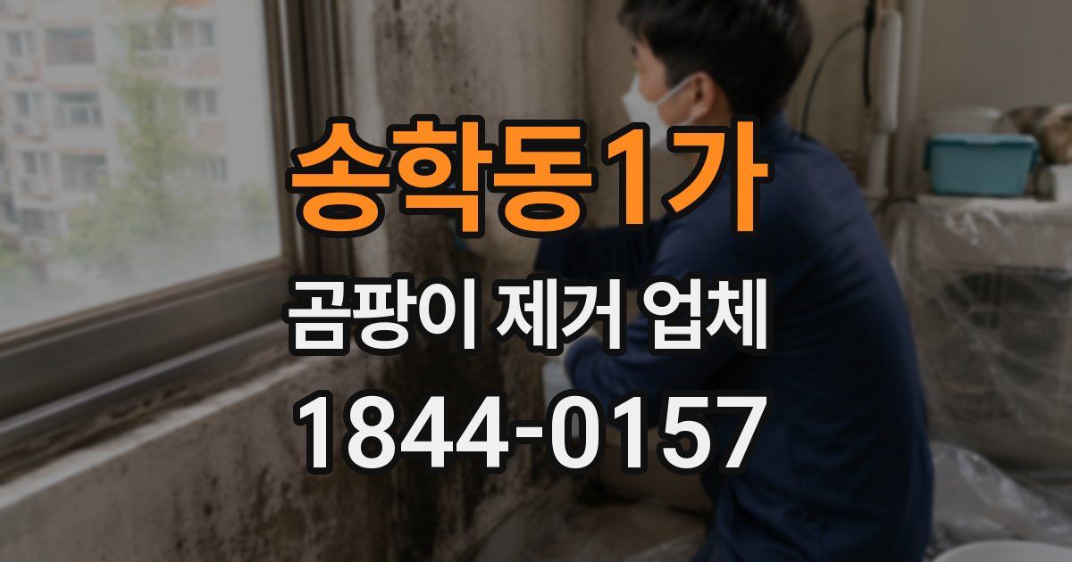 송학동1가 곰팡이 제거 업체