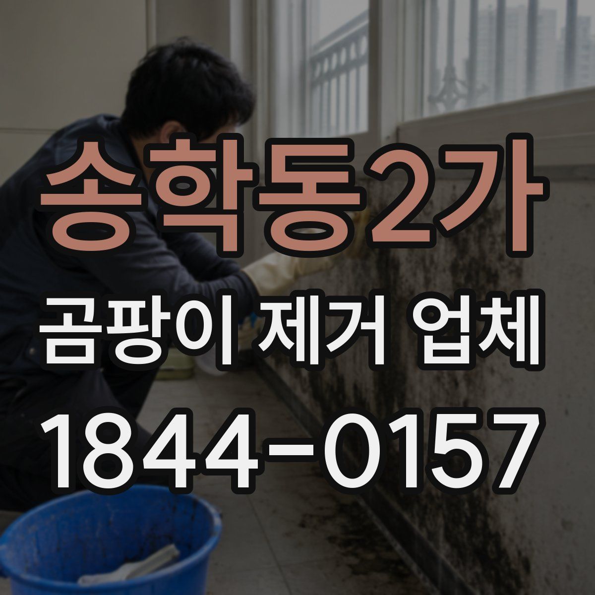 송학동2가 곰팡이 제거 업체