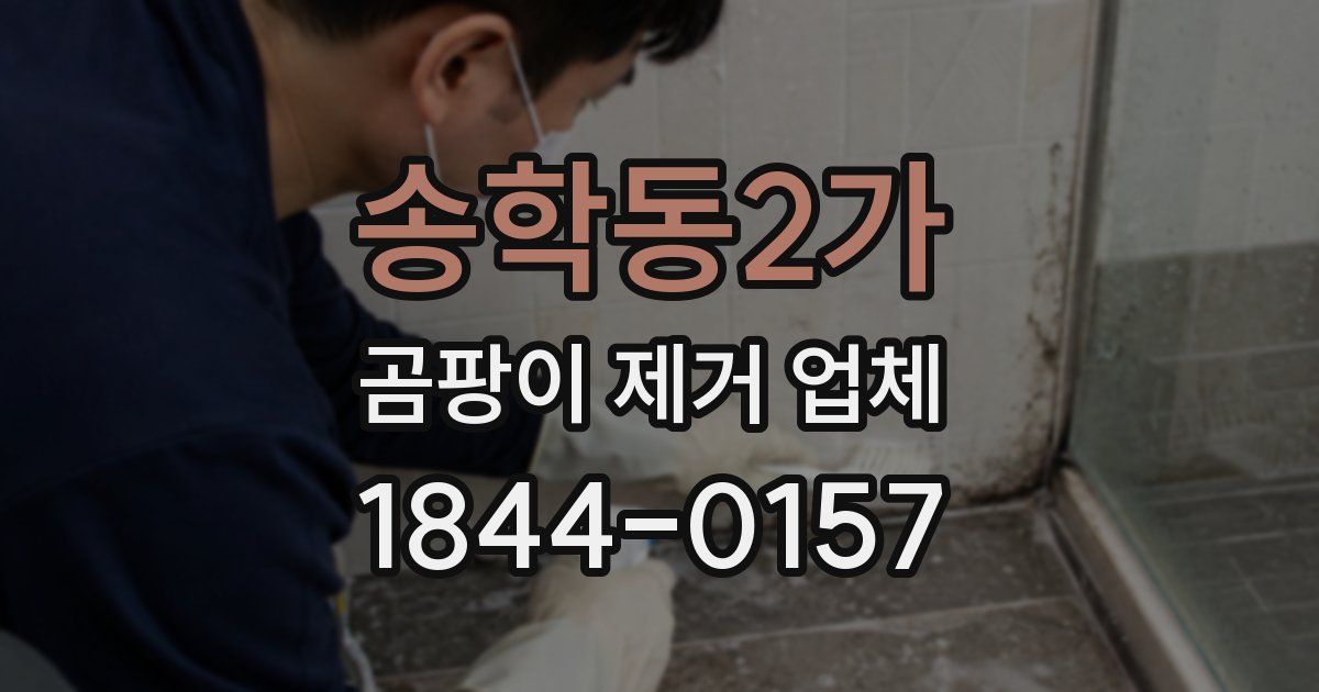 송학동2가 곰팡이 제거 업체