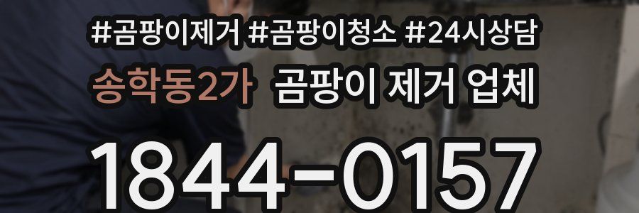 송학동2가 곰팡이 제거 업체