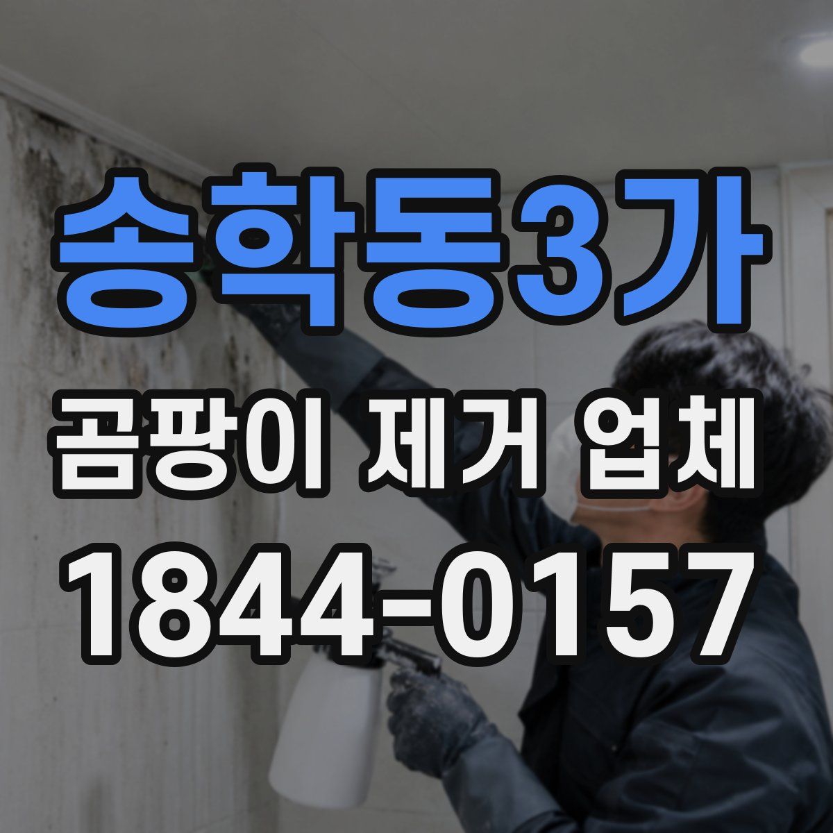 송학동3가 곰팡이 제거 업체