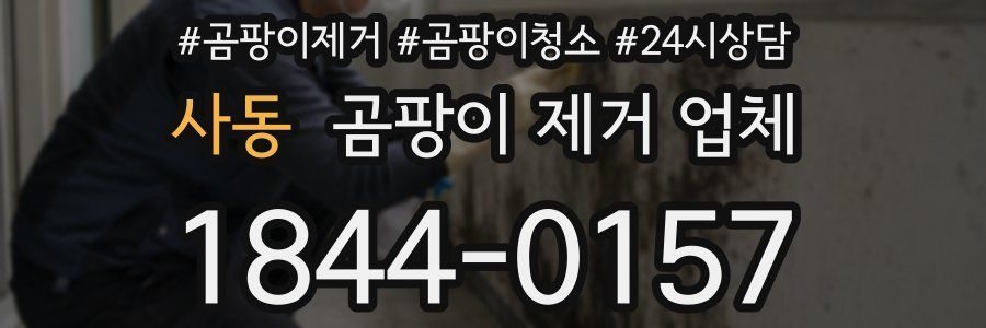 사동 곰팡이 제거 업체