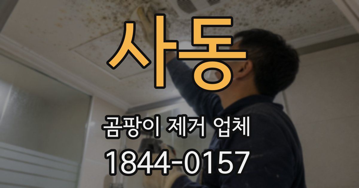 사동 곰팡이 제거 업체
