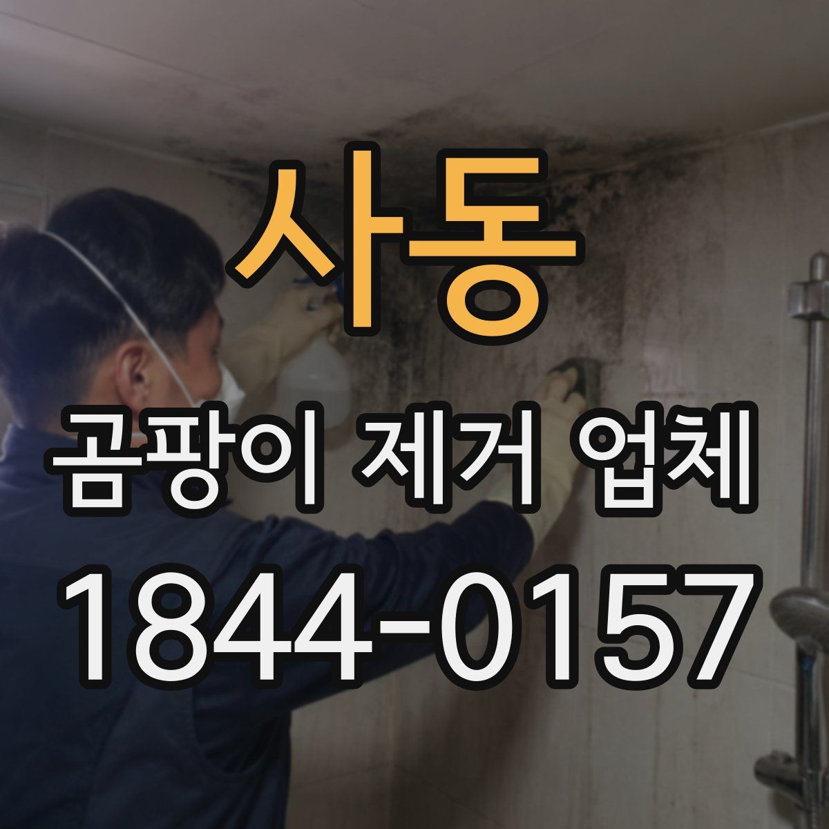 사동 곰팡이 제거 업체