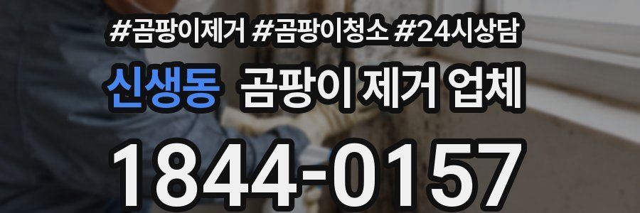 신생동 곰팡이 제거 업체
