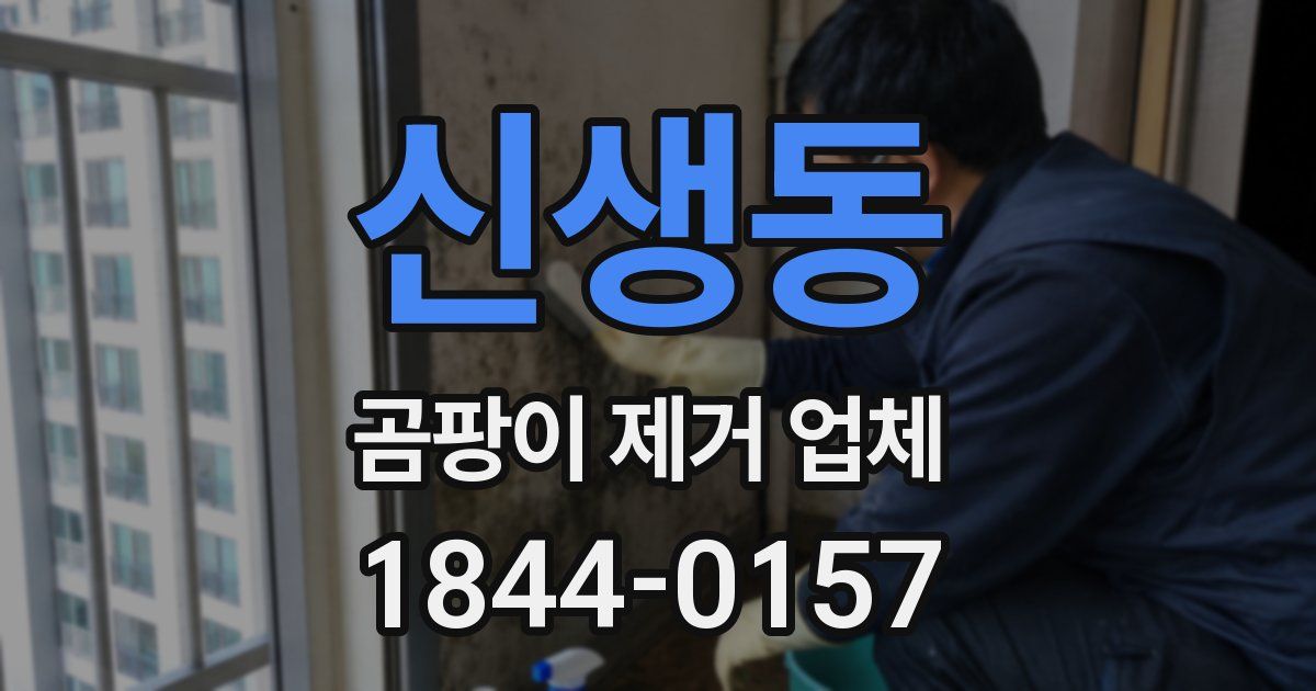 신생동 곰팡이 제거 업체
