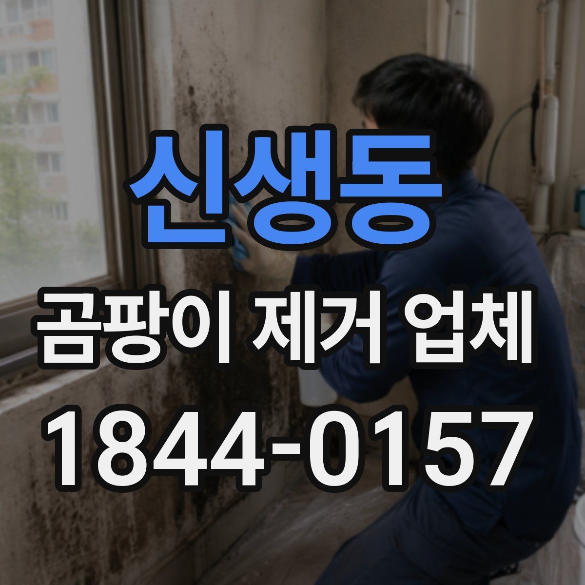 신생동 곰팡이 제거 업체