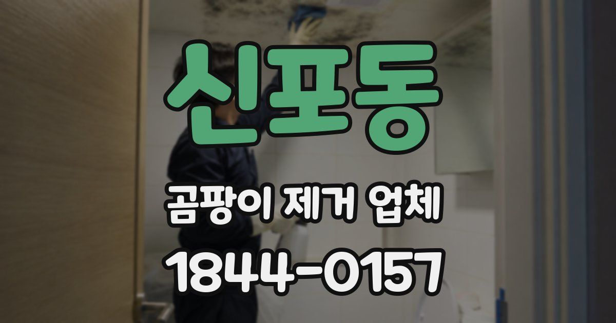 신포동 곰팡이 제거 업체