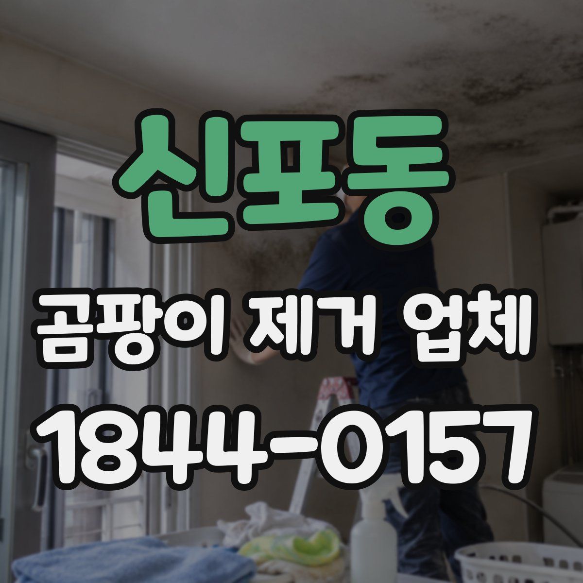 신포동 곰팡이 제거 업체