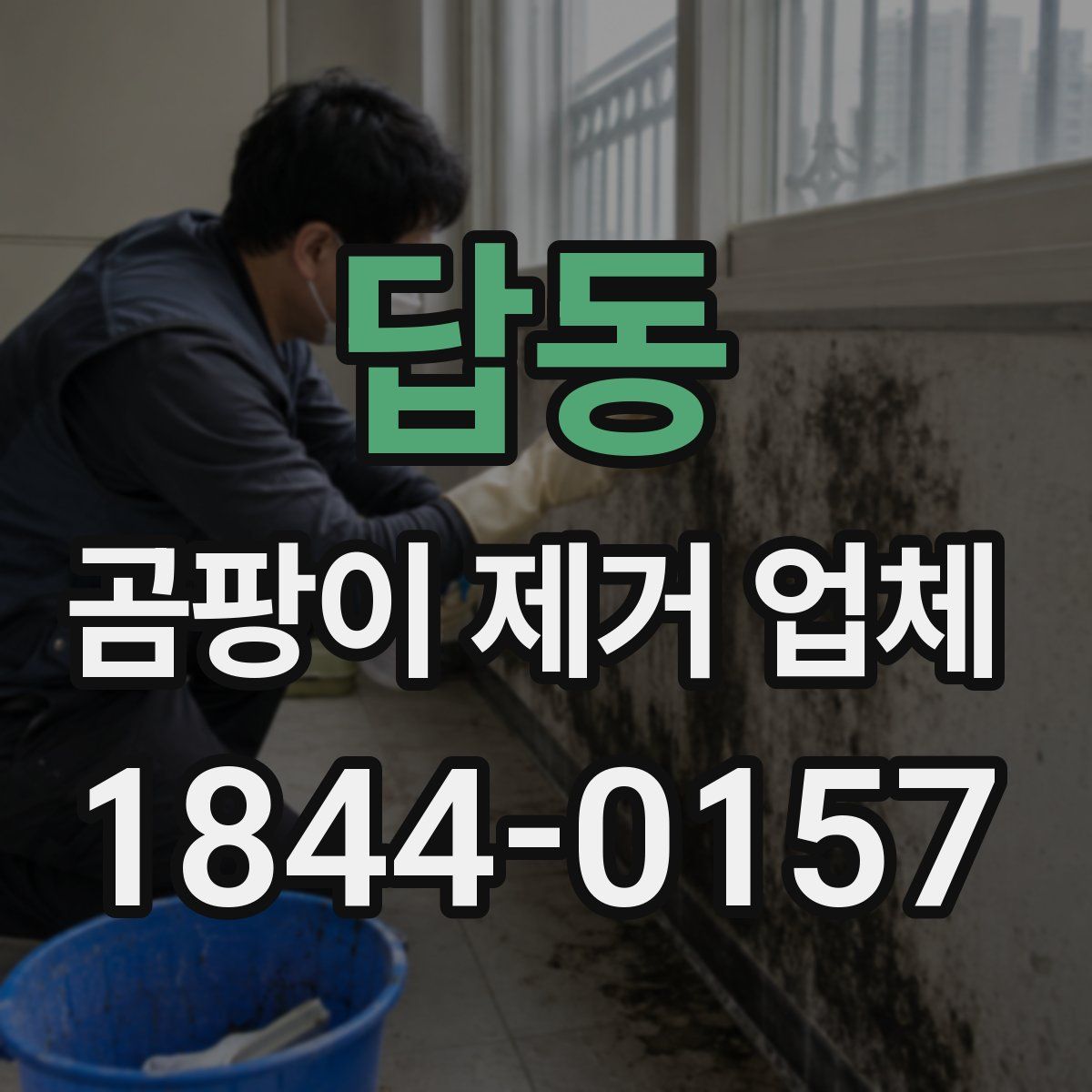 답동 곰팡이 제거 업체