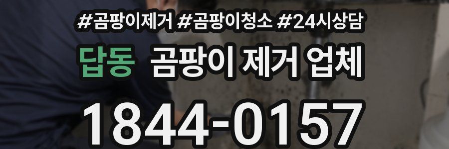 답동 곰팡이 제거 업체