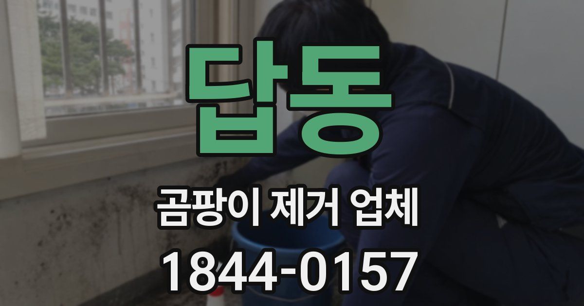 답동 곰팡이 제거 업체
