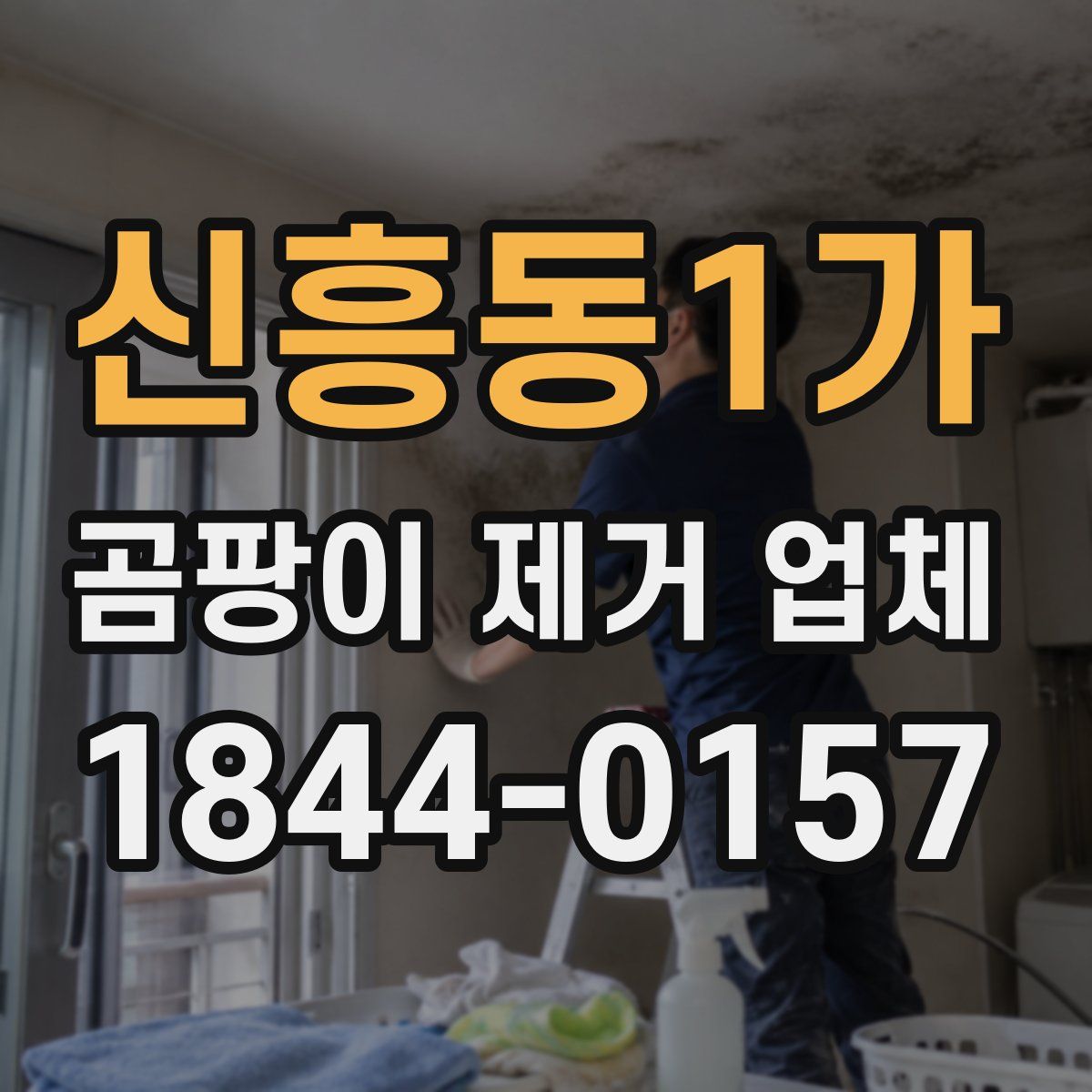 신흥동1가 곰팡이 제거 업체