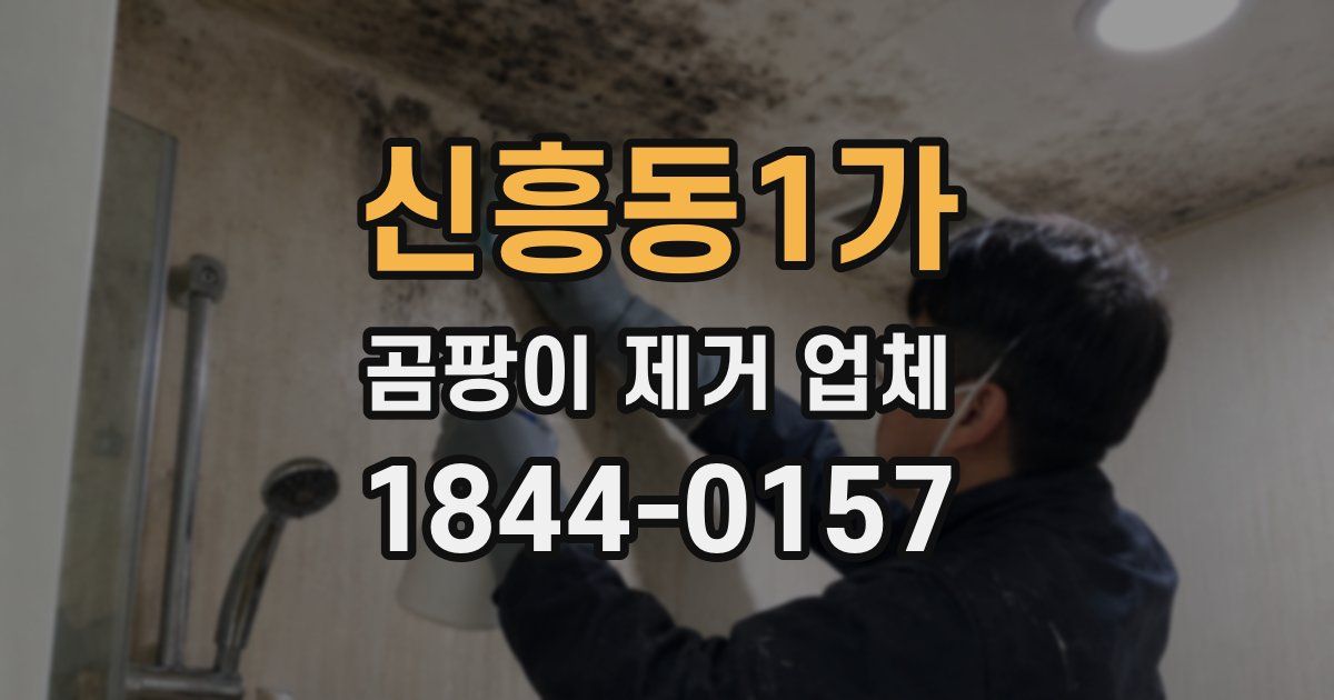 신흥동1가 곰팡이 제거 업체