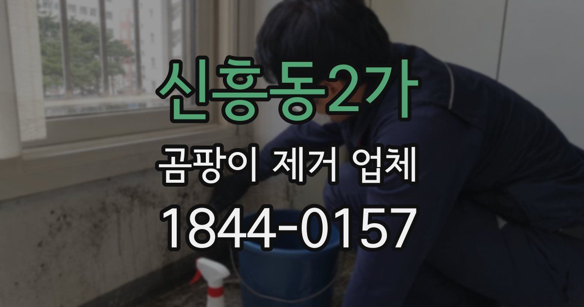 신흥동2가 곰팡이 제거 업체