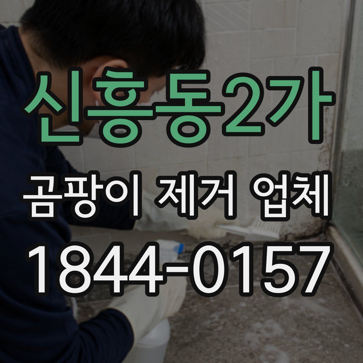 신흥동2가 곰팡이 제거 업체