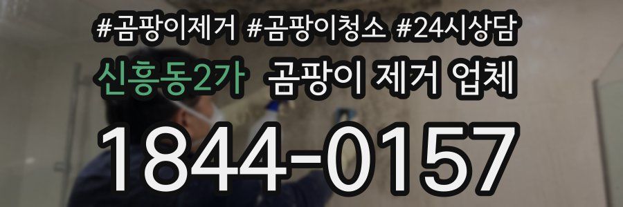 신흥동2가 곰팡이 제거 업체