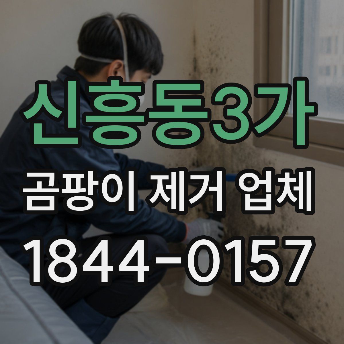 신흥동3가 곰팡이 제거 업체
