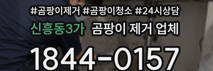신흥동3가 곰팡이 제거 업체