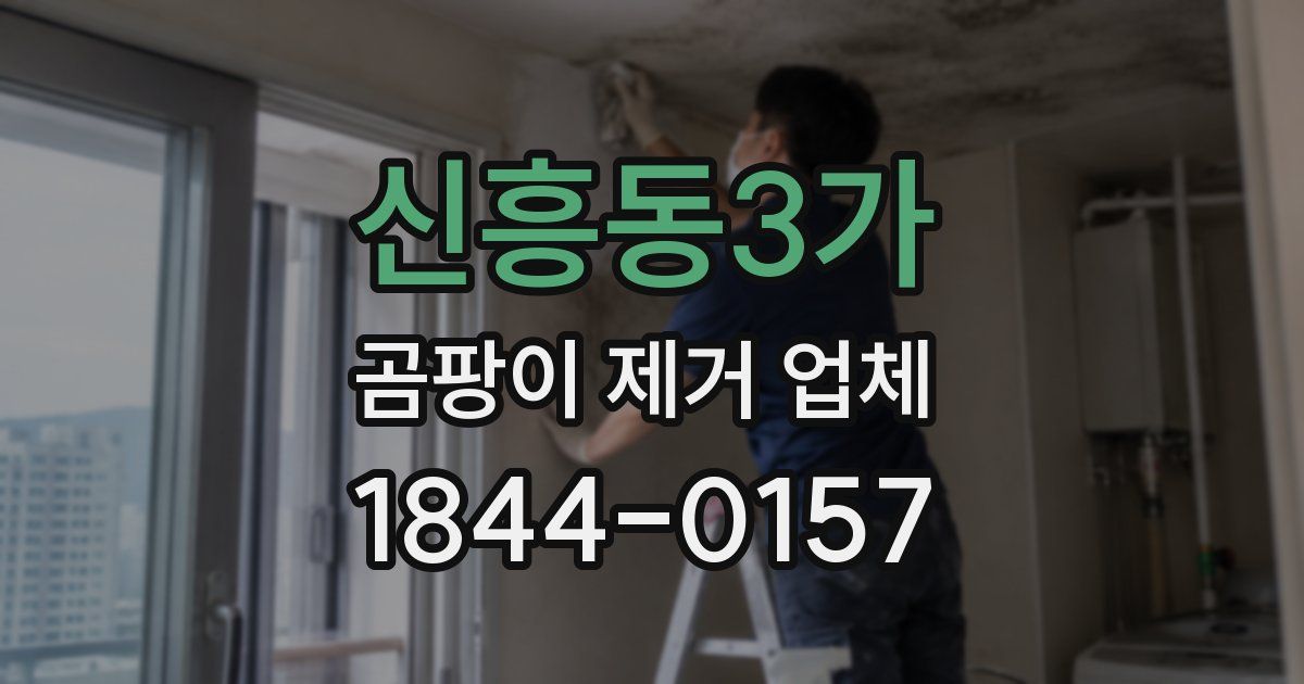 신흥동3가 곰팡이 제거 업체