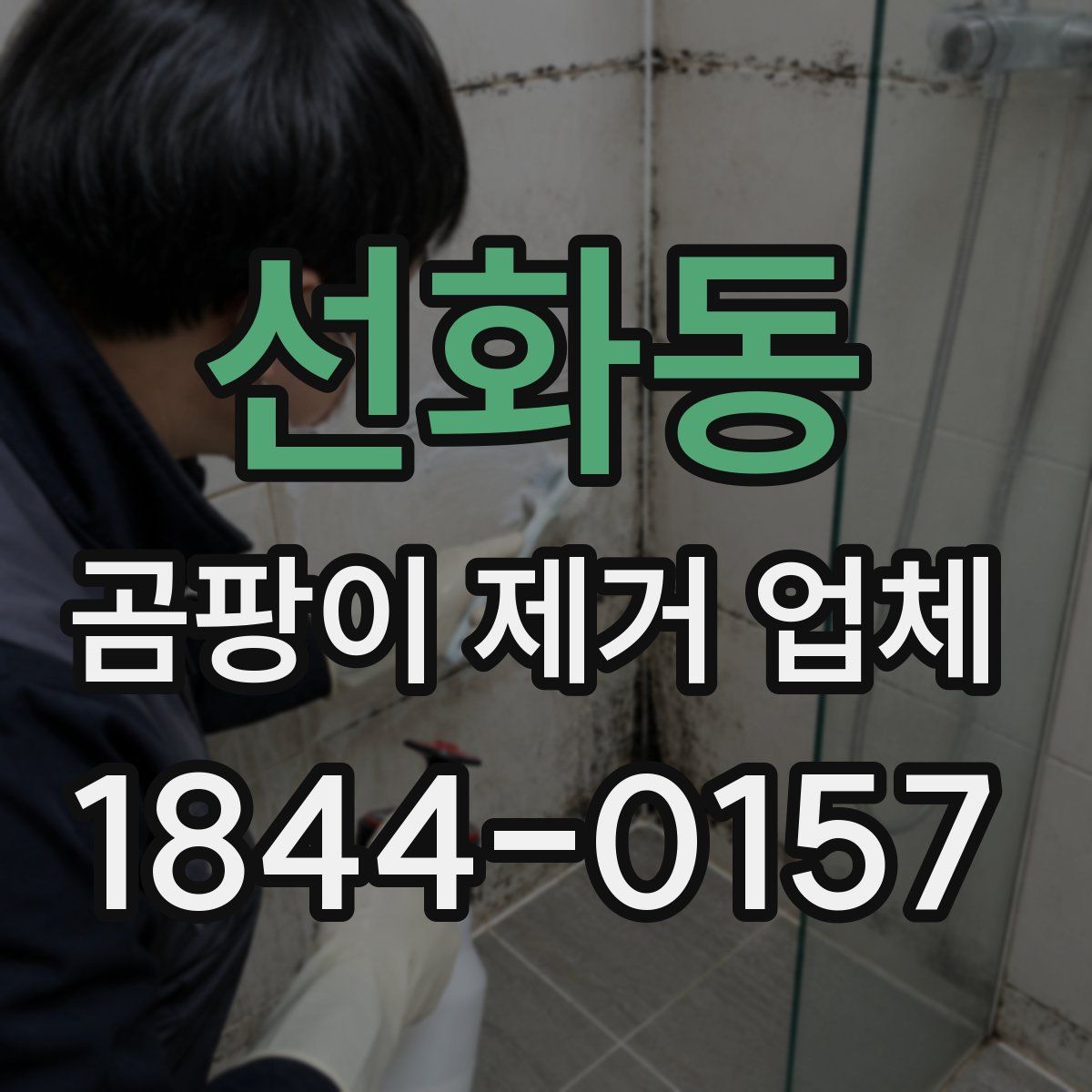 선화동 곰팡이 제거 업체