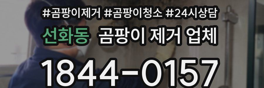 선화동 곰팡이 제거 업체