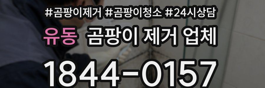 유동 곰팡이 제거 업체