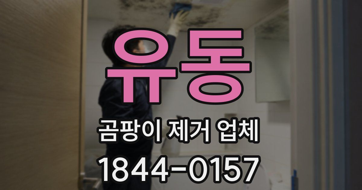 유동 곰팡이 제거 업체